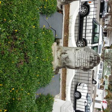 STEYN :: FALCK :: DE JONGH