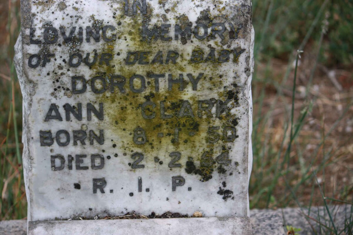 CLARK Dorothy Ann 1950-1954