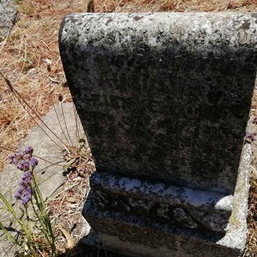 ZIEMKENDORF Augusta 191?-1942