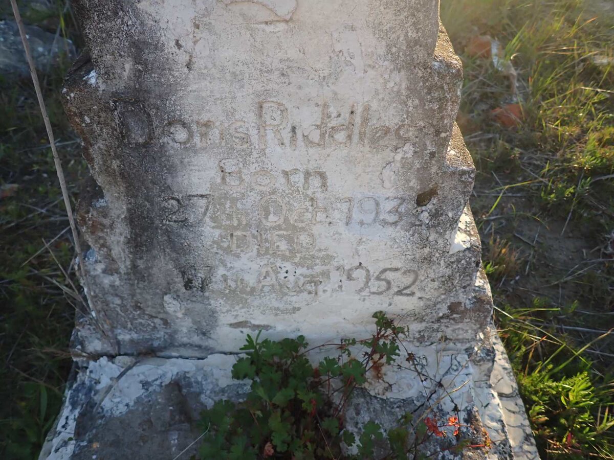 RIDDLES Doris 193?-1952