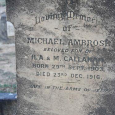 CALLANAN Michael Ambrose 1903-1916