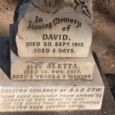 GOW David -1917 :: GOW Aletta -1917