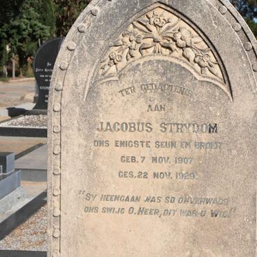 STRYDOM Jacobus 1907-1929