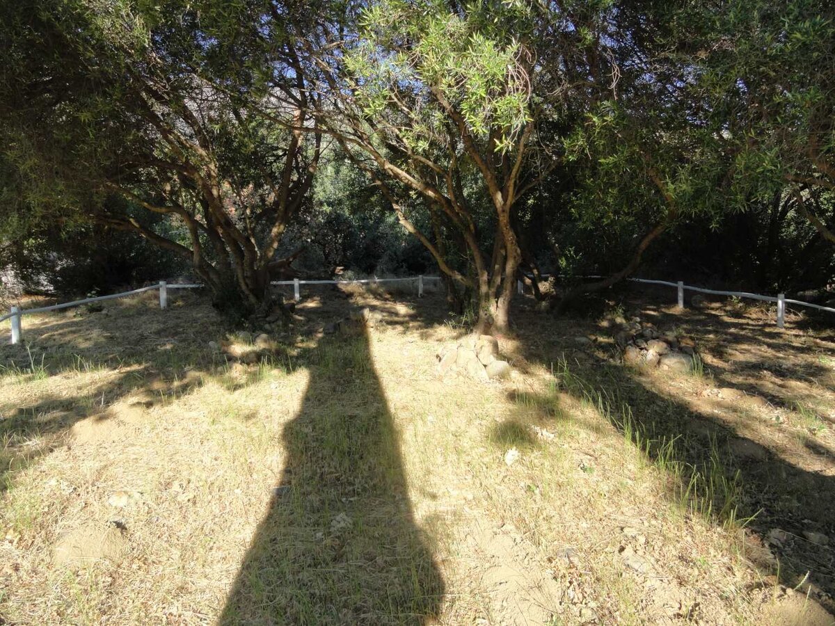 1. Overview / Oorsig