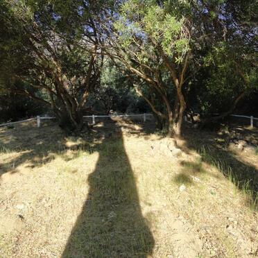 1. Overview / Oorsig