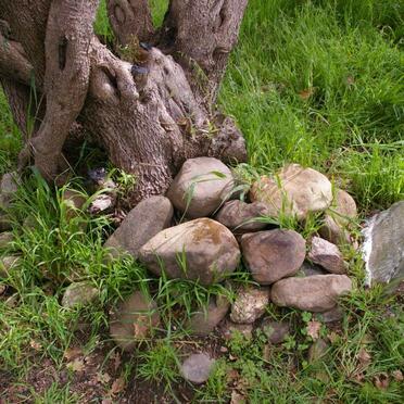 MÖLLER ?nna 18??-1841