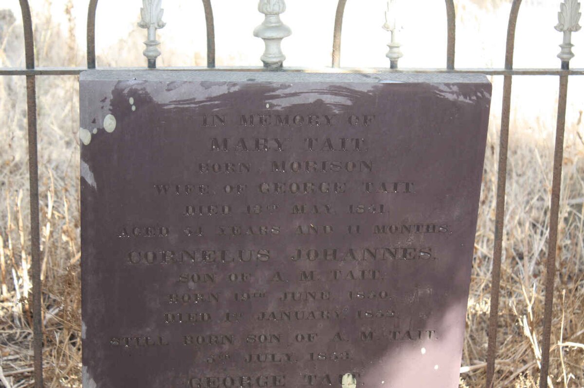 TAIT :: MELLE :: MORISON