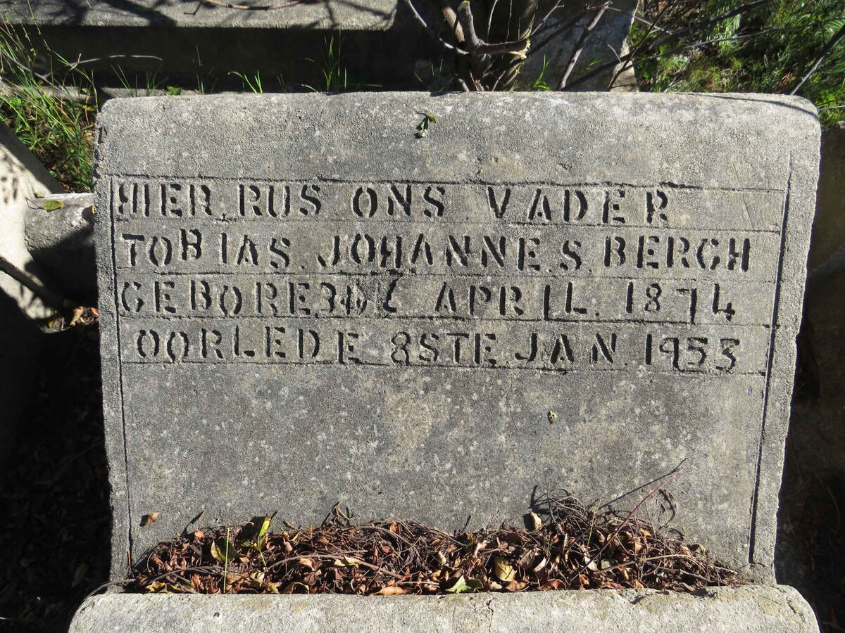 BERGH Tobias Johannes 1874-1953