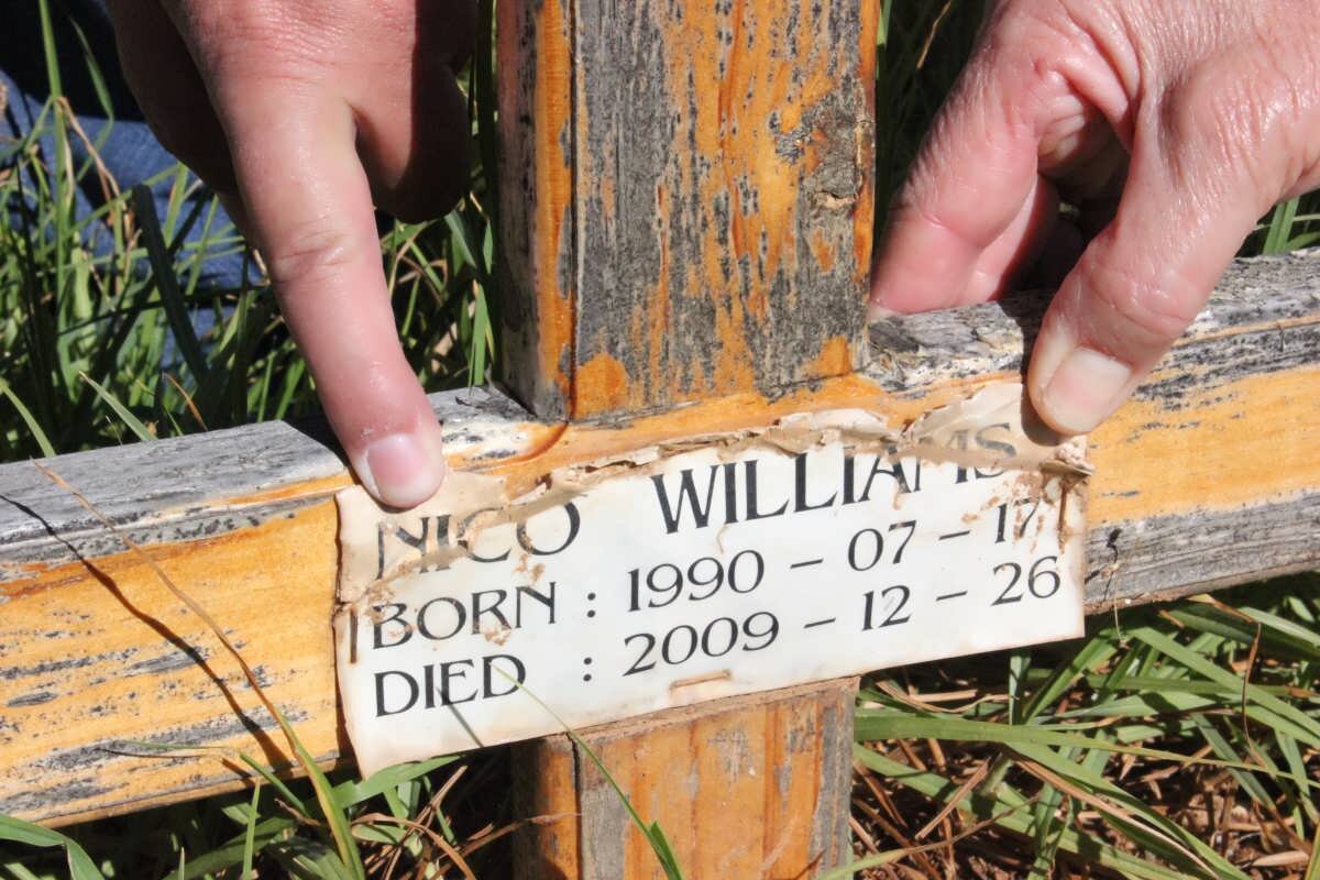 WILLIAMS Nico 1990-2009