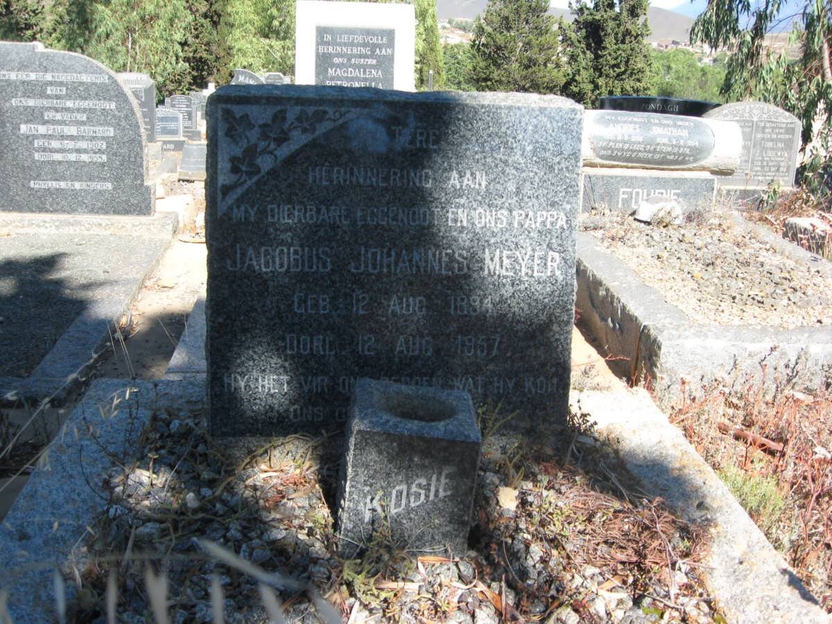 MEYER Jacobus Johannes 1894-1957