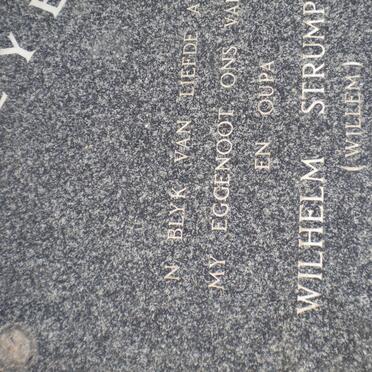 MEYER Wilhelm Strump 1920-1998