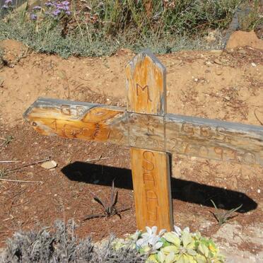 SAAYMAN M. 1942-2010