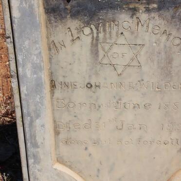 WILDEMAN Annie Johanna 1859-19??