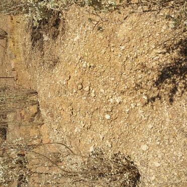 KOCH August Christoffel 1926-1986