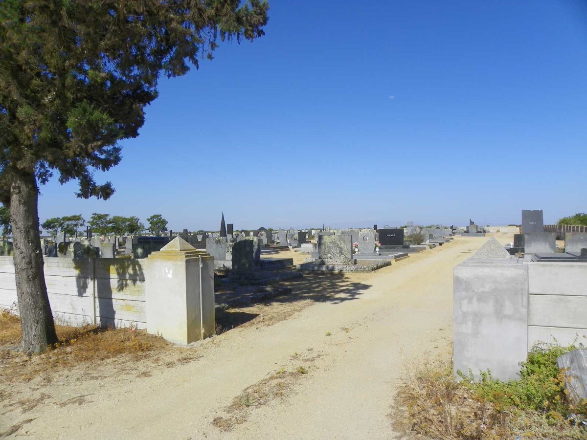 3. Overview / Oorsig