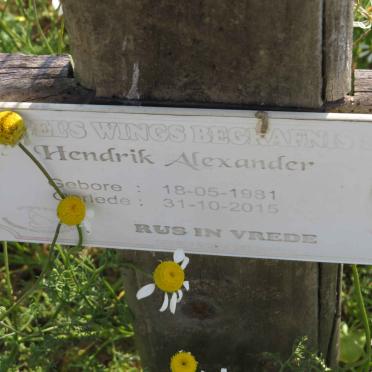 ALEXANDER Hendrik 1981-2015