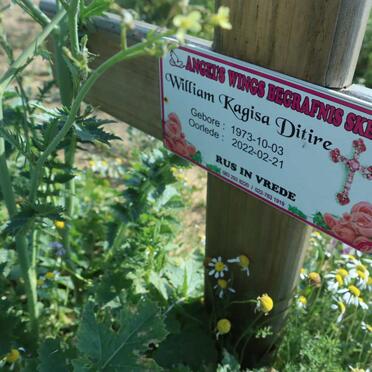 D - Vanne :: Surnames - D