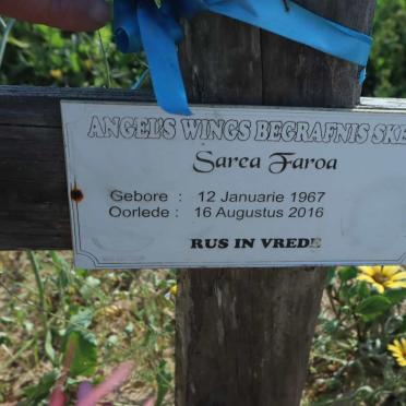 FAROA Sarca 1967-2016