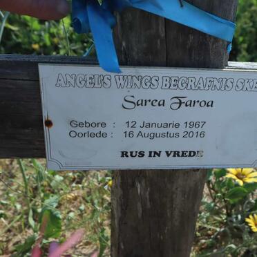 FAROA Sarca 1967-2016