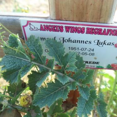 LUKAS ? Johannes 1951-2022