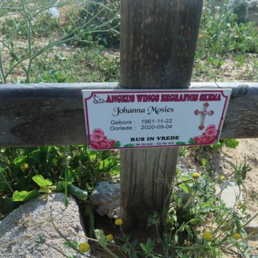 MOSIES Johanna 1961-2020