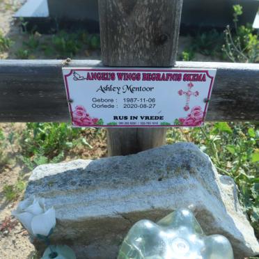 MENTOOR Ashley 1987-2020