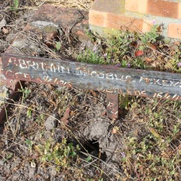 MCKENZIE Abraham Jacobus 1915-1985