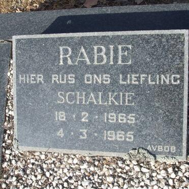RABIE Schalkie 1965-1965