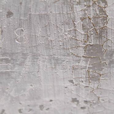 ZYL C.J.C., van 1865-1934