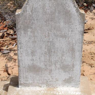 REDELINGHUYS C. -1921