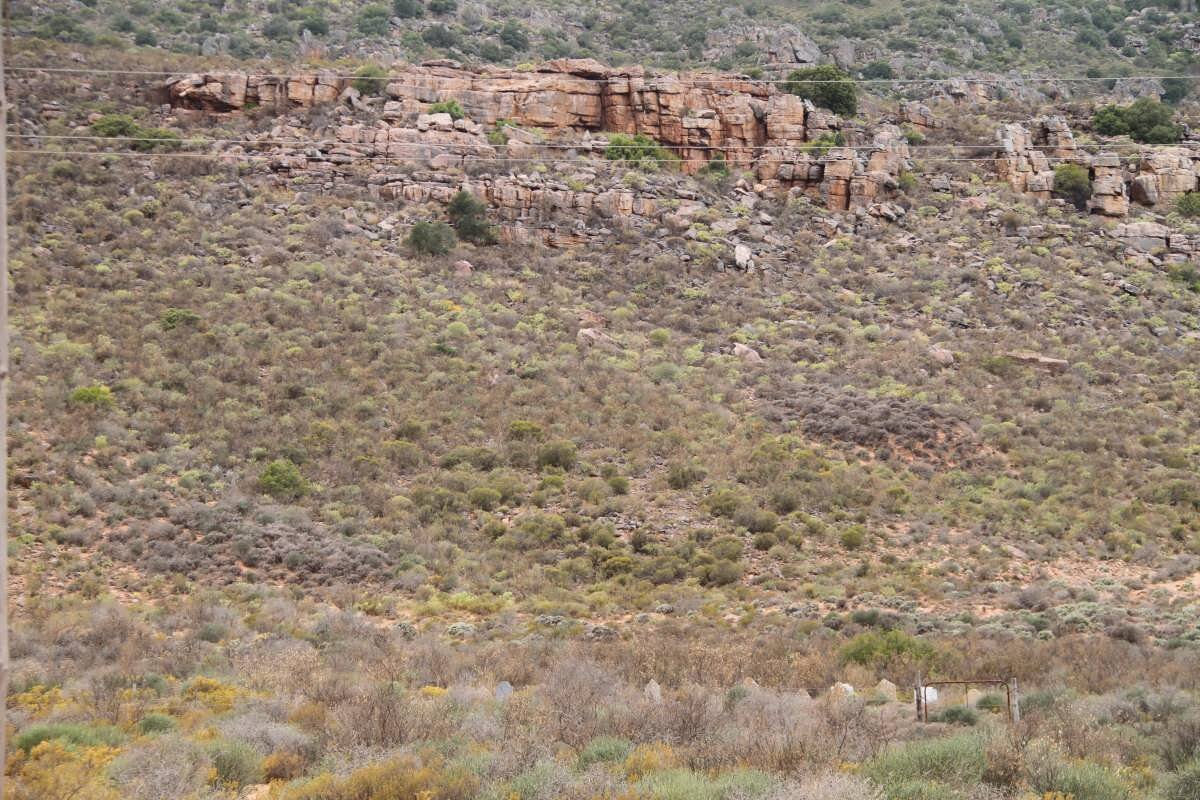 1. Overview on the cemetery