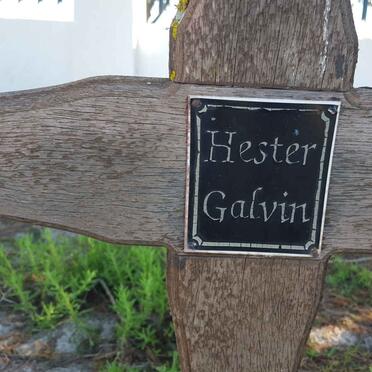 GALVIN Hester