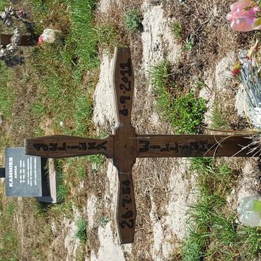 WILLIAMS Juliana 1956-2011