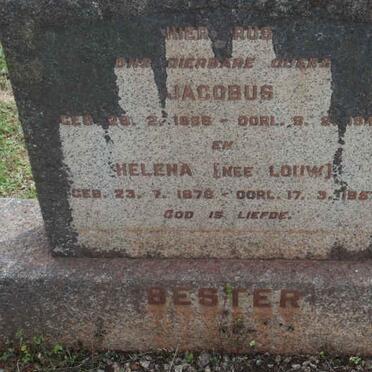 BESTER Jacobus 1866-1948 &amp; Helena LOUW 1878-1957