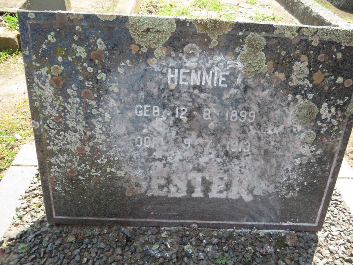 BESTER Hennie 1899-1913