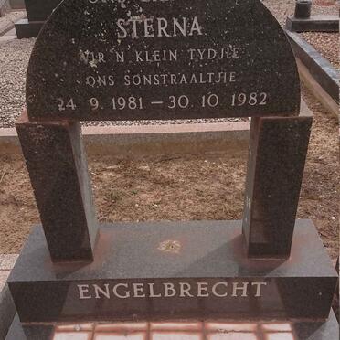 ENGELBRECHT Sterna 1981-1982