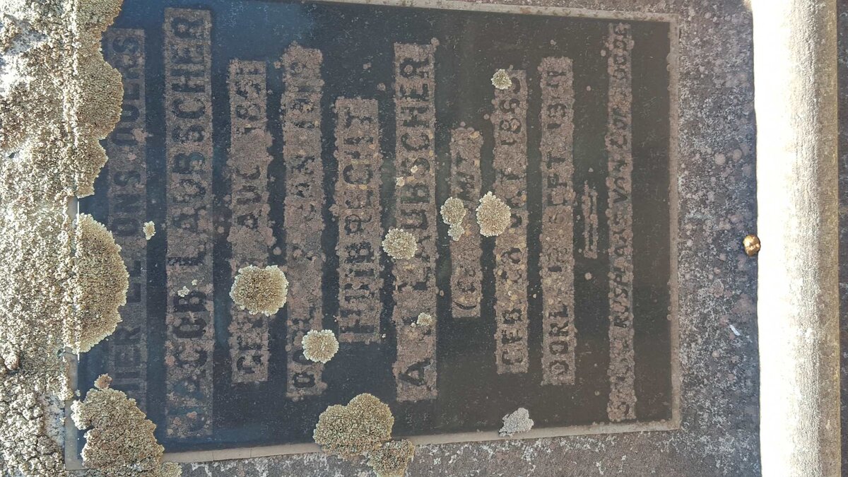 LAUBSCHER Jacob 1851-19?? &amp; Huibrecht A.J. SMIT 1863-1941