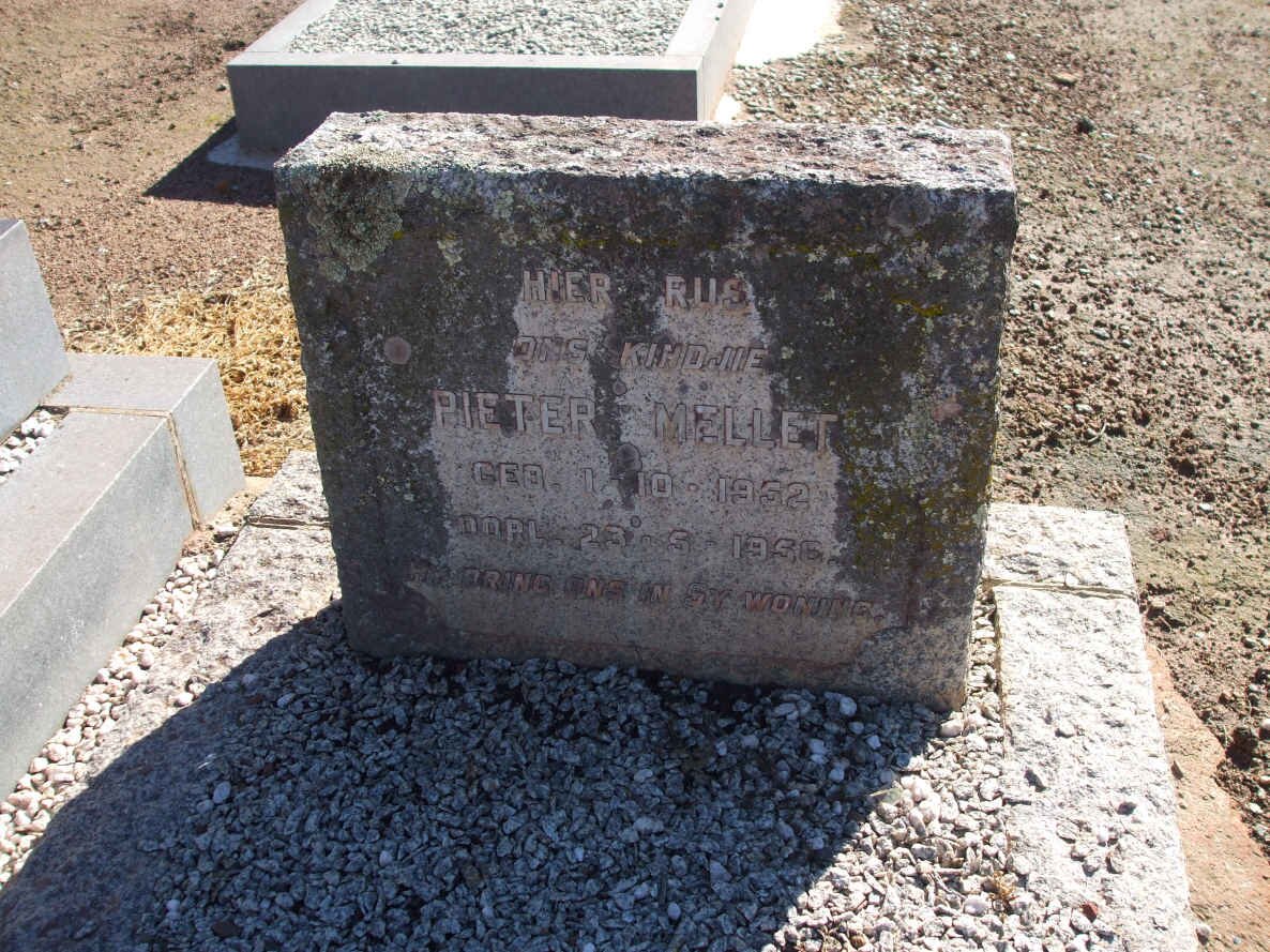 MELLET Pieter 1952-1956