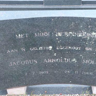 MOLLER Jacobus Arnoldus 1921-1966