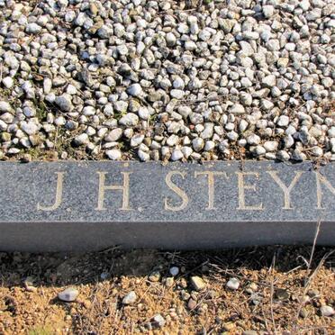 STEYN J.H.