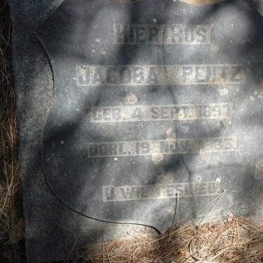 PENTZ Jacoba 1897-1933