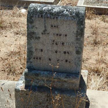 MEIRING M.J. 1852-1927