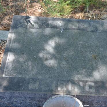 MEIRING -19?3 &amp; Sannie 189?-1969