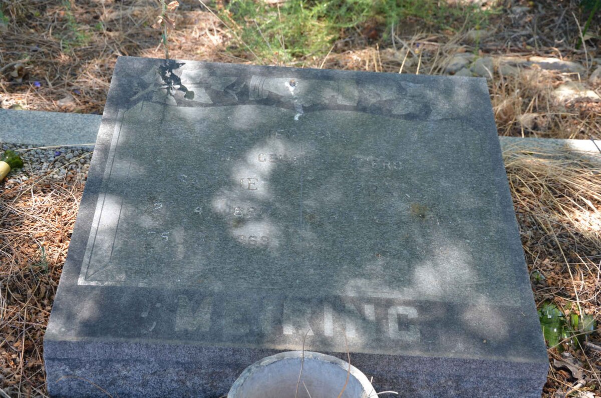 MEIRING -19?3 &amp; Sannie 189?-1969_2