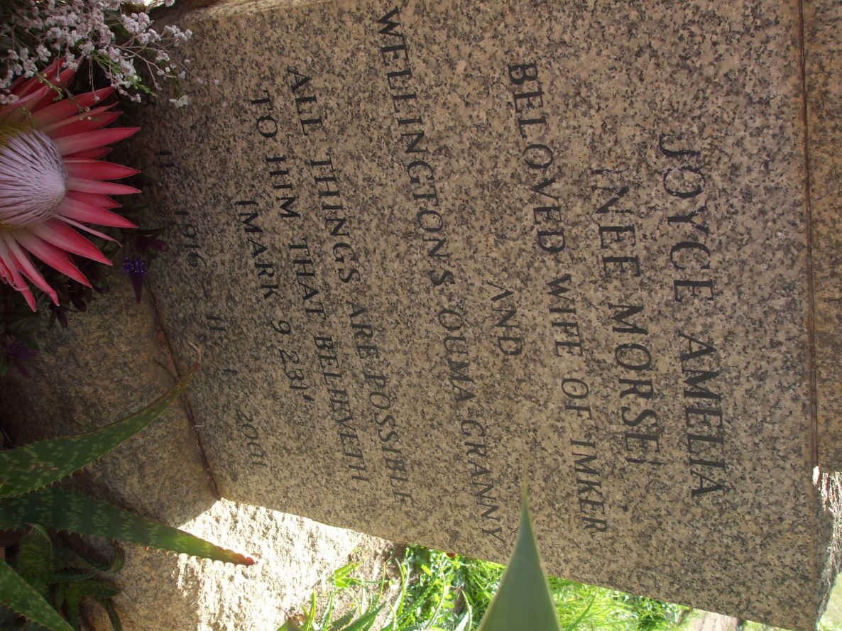 HOOGENHOUT Joyce Amelia nee MORSE 1916-2001