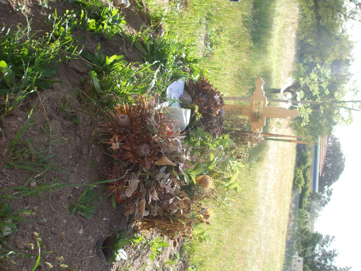 MOREIRA Mario Da Silva  1951-2009