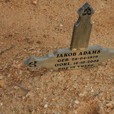 ADAMS Jakob 1979-2008