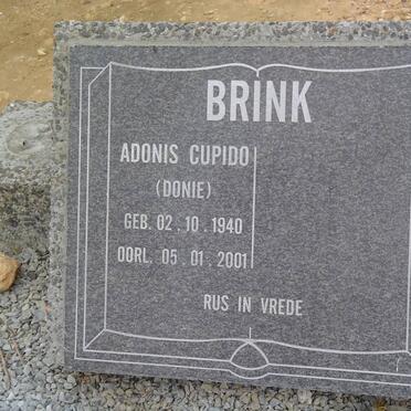 BRINK Adonis Cupido 1940-2001