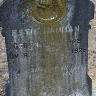 HAMMAN Estie 1923-1925