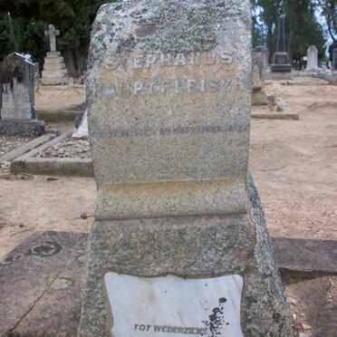 HAUPTFLEISCH Stephanus